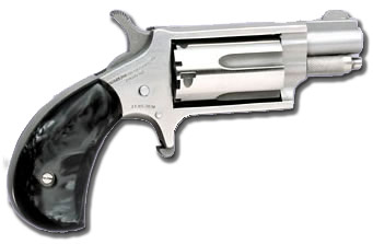 North American Arms Mini 22 Mag Revolver 1-1/8″ Stainless